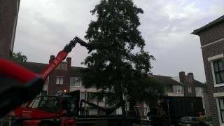 Hoek bomen rooien